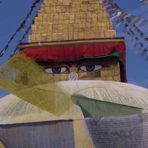 Meet your Posher, Hunter